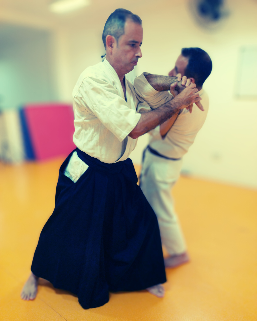 Aikido Shiho Nage